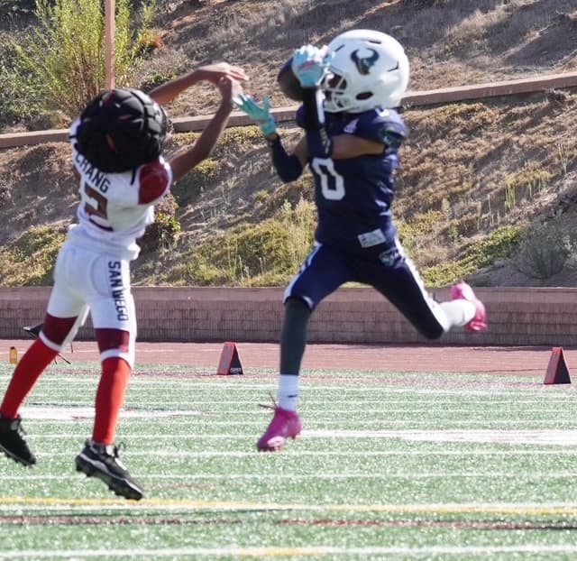 Players competing for a pass