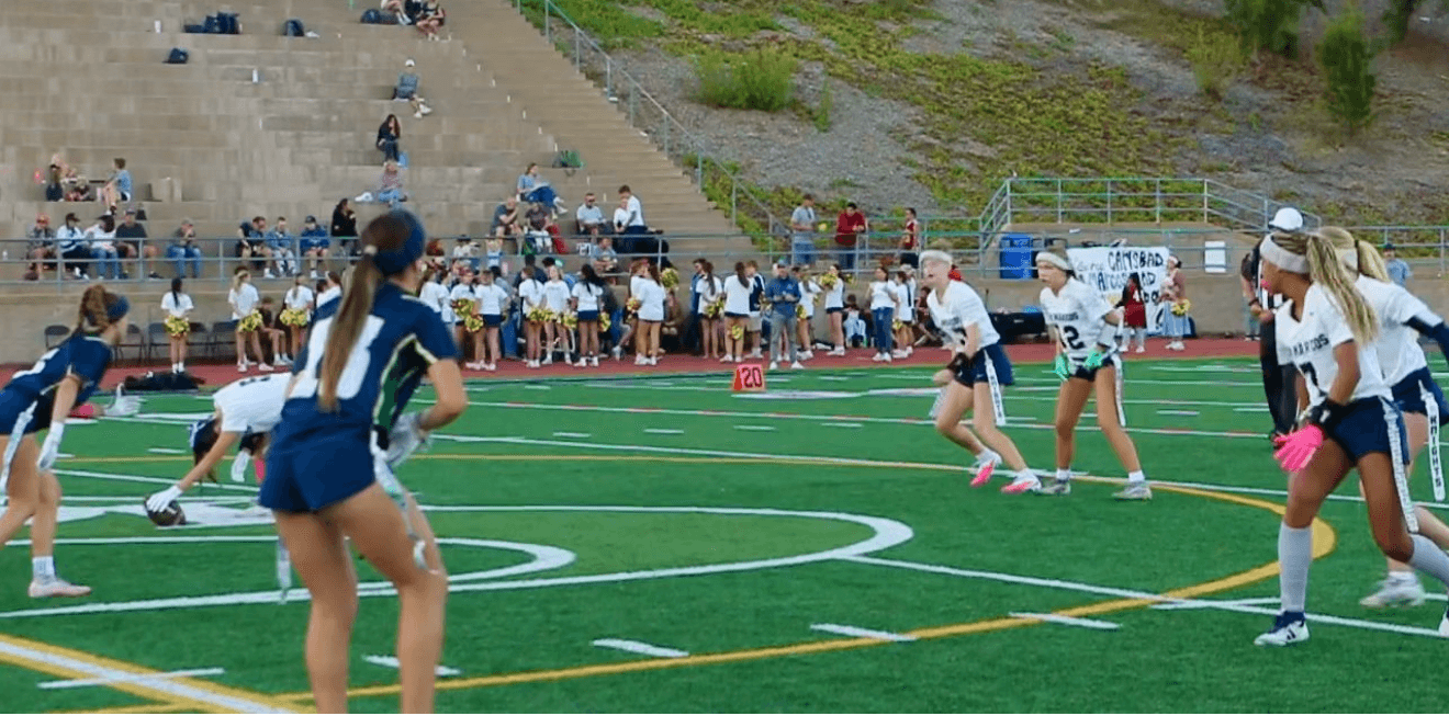 Players lined up before a play